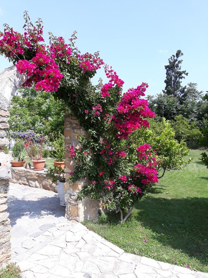 Garden Rooms Pirgos Psilonerou المظهر الخارجي الصورة